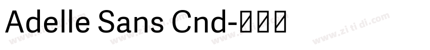 Adelle Sans Cnd字体转换